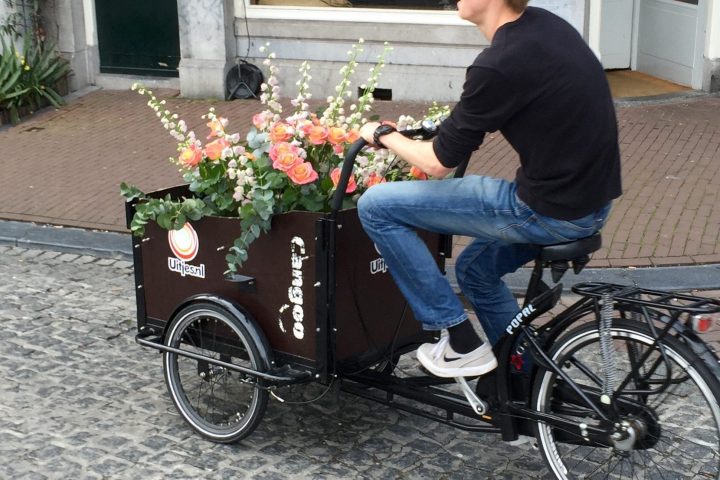 flower bike